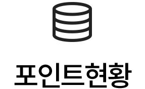 포인트현황